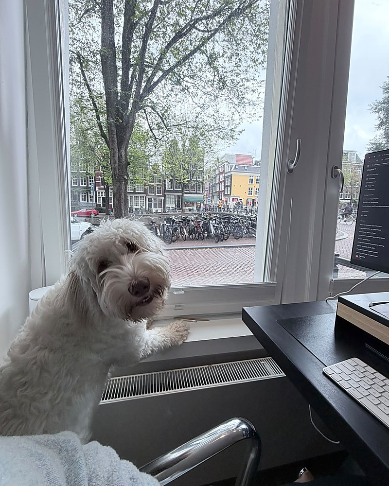 Lenny — Debt collector
